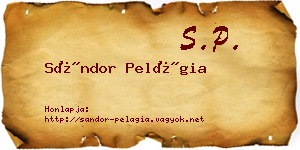 Sándor Pelágia névjegykártya